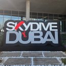 보라팜 | [두바이 여행] 팜주메이라 스카이다이빙 생생한 후기 및 꿀팁