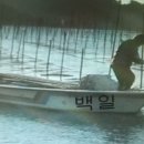 백일호