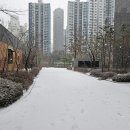 포일배드민턴장 이미지