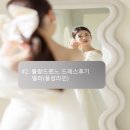 블랑드엘라