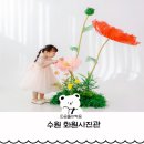 223 | 수원아기사진 두돌 세돌 1000일 프로필 사진 추천 화원사진관