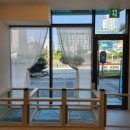 몽이 애견샵 이미지