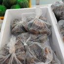 신도바다역 이미지