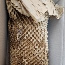 지성식품 | [지성 두피 샴푸]몽잘 바리스칼프 커피샴푸 솔직 후기