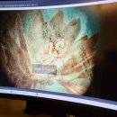 고고피씨 이미지