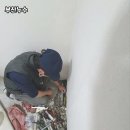 작은등샘 네이버블로그