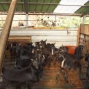 성은농장 이미지