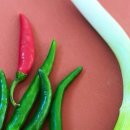 광천명신맛김 이미지