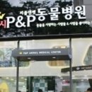 P&P동물병원 네이버블로그