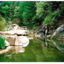 구수골농장 Daum카페