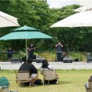 담빛파크콘서트 이미지