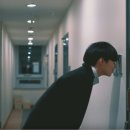 플러그인 컴퍼니