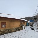 황토사랑 나무야 이미지