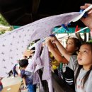 자연광태양광발전소 이미지