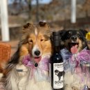 위드어스 와이너리 이미지