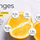 오렌지 이미지