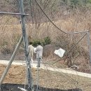 여주-0924 이미지