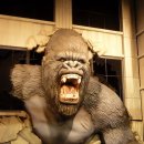 킹콩 이미지