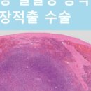 메디스동물병원 이미지