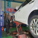 장일카센타 이미지