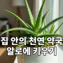 초록빛약국 이미지