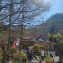 (제1392회) 남산 북측순환로 (건강걷기 공지) 04월14일11시 화요일 이미지