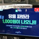 예술의 잔당 | [주안역 맛집] 주먹보다 큰 바삭함! 예술통닭에서 즐기는 갓벽한 치맥 타임 🍗✨