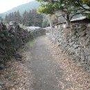 저지오름 이미지