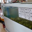 삼성횟집 - 사하구 다대동로 20 | 삼성횟집