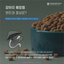 부평종합동물의료센터 이미지