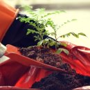 일월초등학교 이미지