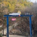 들꽃약국 | 팔공산 템플스테이 “묘향사” | 고요한 고시원 | 칠곡 이색 체험 추천