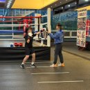 킹콩복싱아카데미 이미지