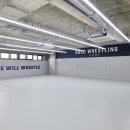 골드 레슬링 이미지