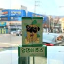 댕댕이고깃집