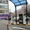 동해시장애인생활이동지원센터 | 김포장애인자립생활센터 이용해보고 알게 된 편안한 환경과 장점