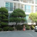 완월동218 이미지