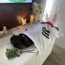 오수 펫 추모공원 데이터뉴스