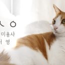 고양이미용사 임서영 이미지