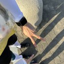 (주)벤큐브 | 2025 미니언즈런 10km 완주 후기!(진짜 완주만 함..)