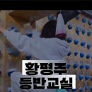 클라이밍 교실 | [클라이밍] 4개월 차 등록! 국가대표 꿈나무들과 함께 땀 흘리는 곳