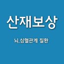 참조은 행정사사무소 이미지