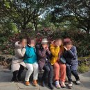 제주도 카니발 렌트 운전 걱정 없이 편안한 제주 여행 후기