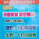 뉴코스모스호 2 이미지