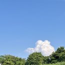 씨유(CU) 부용동원룸점 | 제주 바다 #협재해수욕장 물놀이 온수샤워 꿀팁 [2025.06.18]