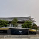 어라이브01