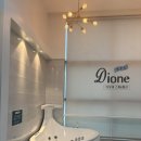 디오네스파펜션 이미지