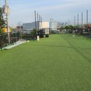 독스아일랜드 이미지