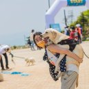 동서울카써비스 이미지