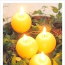 2007-주016 이미지